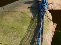 06-04-17-Piscataway-27369