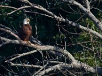 06-04-17-Piscataway-27382
