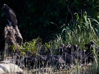 06-04-17-Piscataway-27397