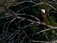 06-04-17-Piscataway-27404