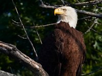 06-04-17-Piscataway-27407