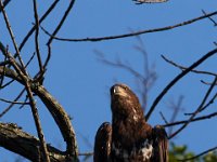 06-04-17-Piscataway-27421