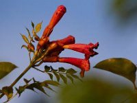 06-10-17-Mattawoman-27795