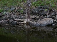 06-18-17-Ricky Gorge-29086