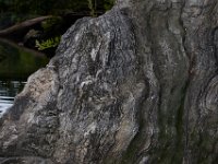 06-18-17-Ricky Gorge-29103