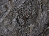 06-18-17-Ricky Gorge-29105