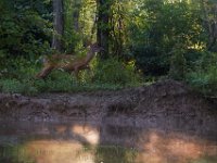 06-25-17-Piscataway-29403
