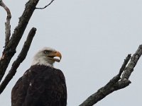 06-25-17-Piscataway-29476