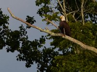 06-25-17-Piscataway-29503