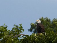 06-25-17-Piscataway-29563