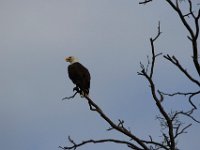 06-25-17-Piscataway-29644