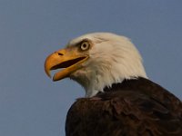 06-25-17-Piscataway-29654