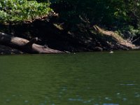 06-30-17-Rocky Gorge with T-29877