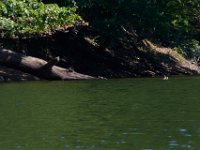 06-30-17-Rocky Gorge with T-29878