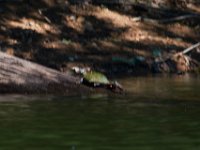 06-30-17-Rocky Gorge with T-29888