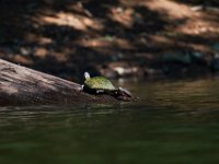 06-30-17-Rocky Gorge with T-29890
