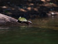 06-30-17-Rocky Gorge with T-29894