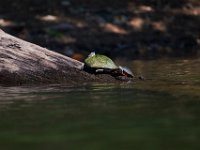 06-30-17-Rocky Gorge with T-29895