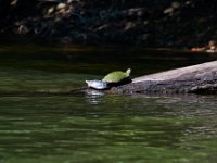 06-30-17-Rocky Gorge with T-29953