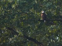 07-15-17-Nanjemoy-East-21119