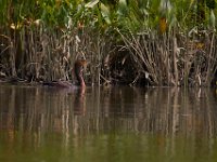 07-21-17-Selbys-Mattaponi-21555