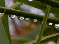 08-13-17-Nanjemoy-22778