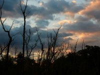 08-19-17-Piscataway-22965