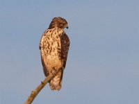 08-19-17-Piscataway-23076