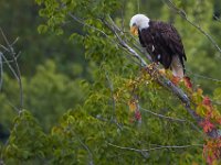 08-19-17-Piscataway-23147