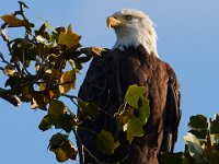08-19-17-Piscataway-23256