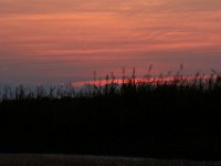 08-27-17-Nanjemoy-23519