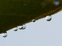 08-27-17-Nanjemoy-23694