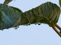 08-27-17-Nanjemoy-23739