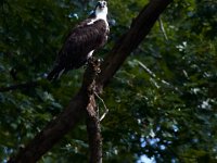 08-31-17-Rocky Gorge with T-24027