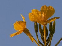 09-04-17-Mattawoman Creek-24990