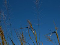 09-09-17-Nanjemoy-25773