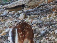 09-16-17-Rocky Gorge26004