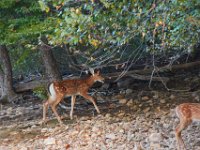 09-16-17-Rocky Gorge26009