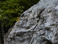 09-16-17-Rocky Gorge26102