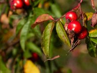 09-23-17-Tuckahoe Creek-26438