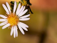 09-23-17-Tuckahoe Creek-26521