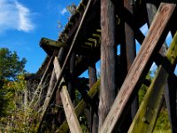 09-23-17-Tuckahoe Creek-26715