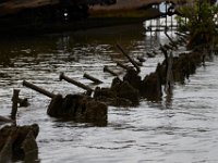 10-14-17-Mallows Bay-27540