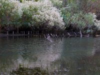 10-14-17-Mallows Bay-27746