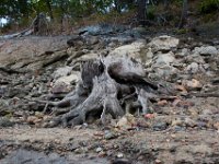 10-15-17-Rocky Gorge-27849
