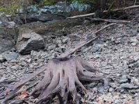 10-15-17-Rocky Gorge-27889
