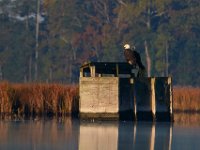10-21-17-Blackwater-28132