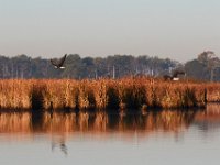 10-21-17-Blackwater-28166