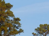 10-21-17-Blackwater-28240