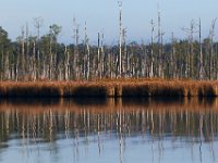 10-21-17-Blackwater-28308